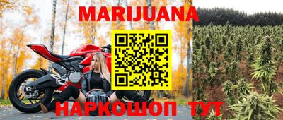 прущие грибы Обь