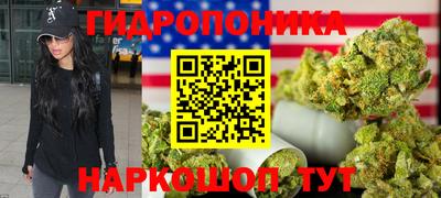 прущие грибы Обь